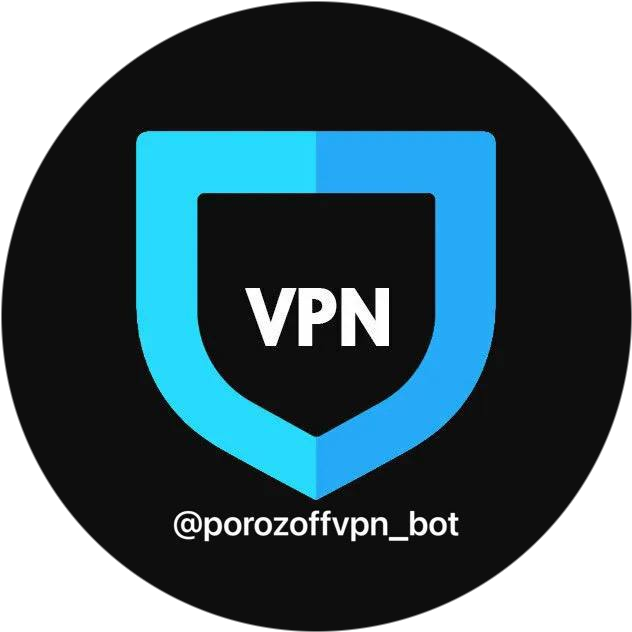 VPN Logo